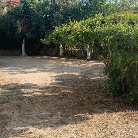 Ilias Apartments Finikounta Dış mekan fotoğraf